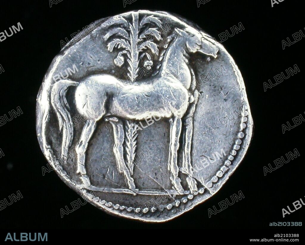 NUMISMATICA. MONEDA HISPANO-CARTAGINESA. SHEKEL DE PLATA. REVERSO. CABALLO PARADO A LA DERECHA, CON PALMERA DETRAS DE EL. 238 A.C. (DEPOSITO: MUSEO ARQUEOLOGICO NACIONAL).