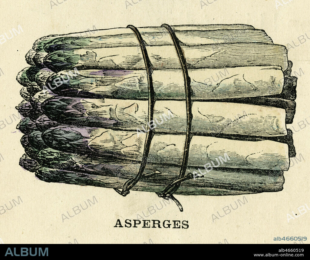 Botte d'Asperges. Gravure in Bebe saura bientot lire, ouvrage d'apprentissage de la lecture, vers 1880-1890. Credit Collection Kharbine Tapabor.