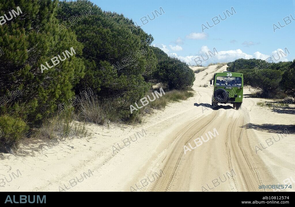 4x4 vehicle between the ´Dunas móviles´ (moving dunes) and ´corrales´ (groups of pine trees encircled by dunes). Doñana National Park. Huelva province. Spain.