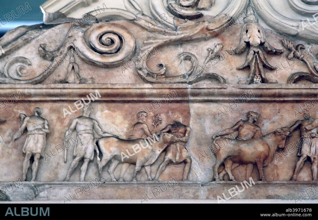 Sacrifice scene on the Ara Pacis, Rome. The Ara Pacis Augustae (Latin, Altar of Augustan Peace; commonly shortened to Ara Pacis) is an altar to Peace, envisioned as a Roman goddess.