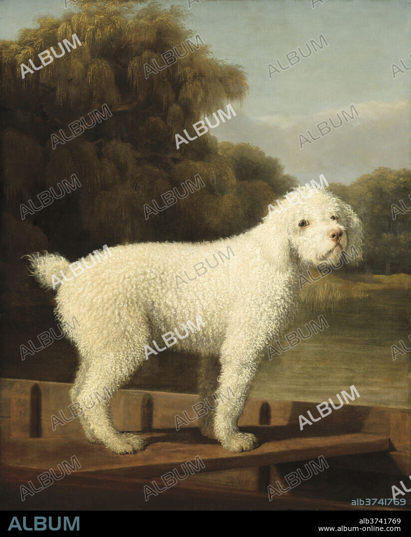 GEORGE STUBBS. White Poodle in a Punt. Dated: c. 1780. Dimensions: overall: 127 x 101.5 cm (50 x 39 15/16 in.). Medium: oil on canvas.