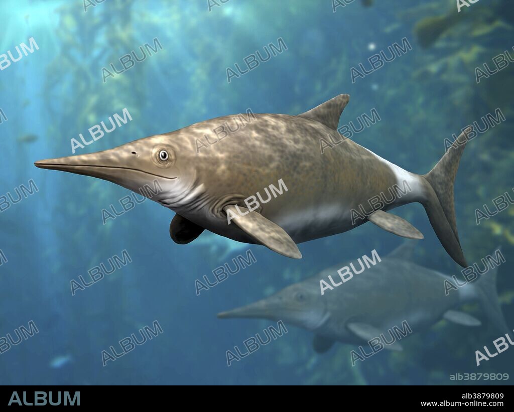 Brachypterygius extremus is an extinct ichthyosaur from the Late Jurassic of England.