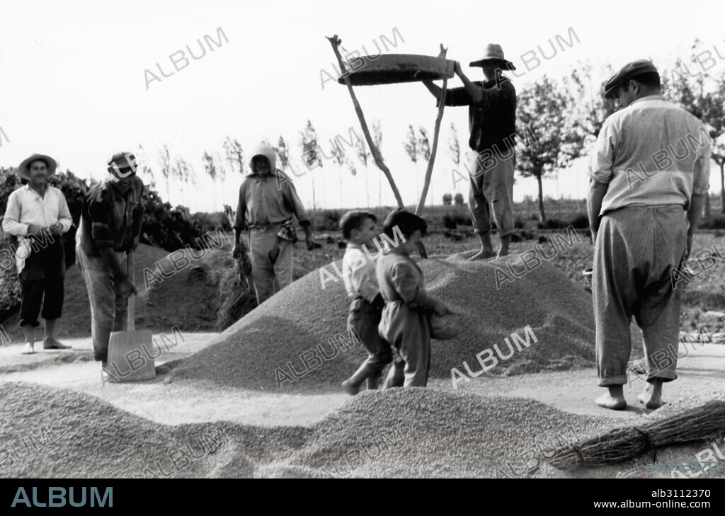 Catalunya. Agricultores limpiando la cosecha del trigo mediante la criba. Años 1970.