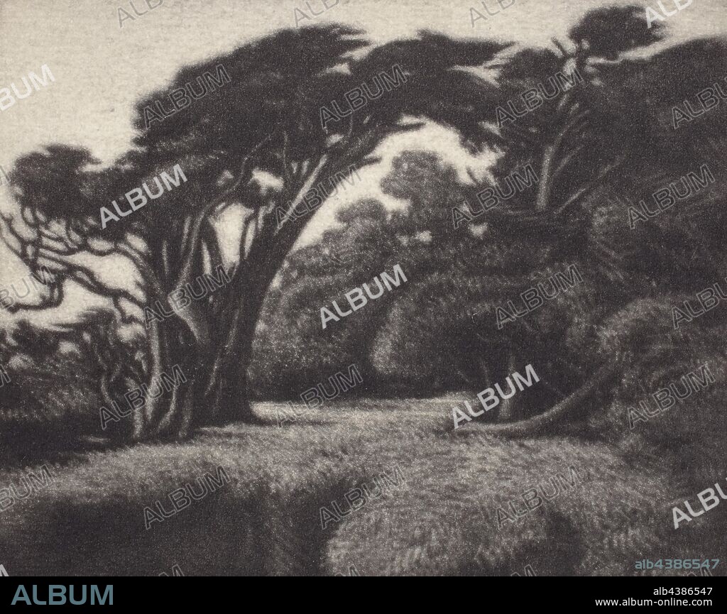 Cypress Bower, Ernest Haskell (American, 1876-1925), 1920, mezzotint, inscribed in pencil, below image, L.R.: G 37, inscribed in pencil, below image, L.L.: Cypress Bower, signed in pencil, below image, L.C.: Ernest Haskell, American.