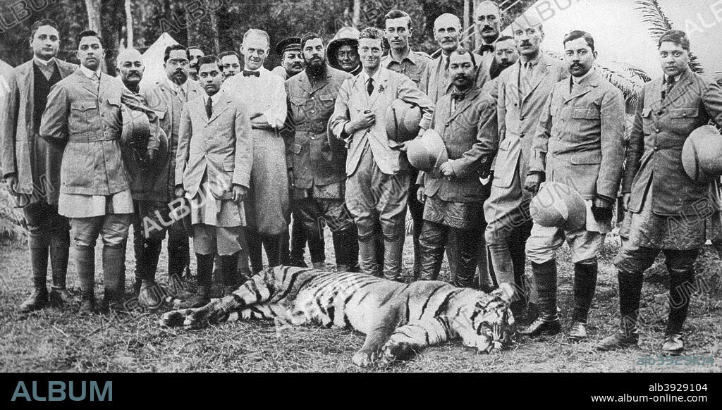 The Prince of Wales tiger shooting in Nepal, the Indian Tour, 1921. The future King Edward VIII and his entourage pose with a dead tiger. Illustration from George V and Edward VIII, A Royal Souvenir, by FGH Salusbury, a souvenir book published as Edward VIII was crowned following the death of his father, George V, (Daily Express Publication, London, 1936).