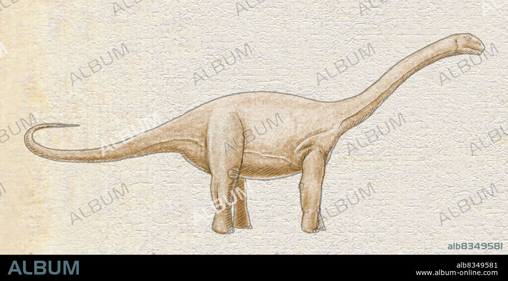 Rhoetosaurus is one of the rare sauropods (large herbivorous dinosaurs) to have been found in Australia.This giant measuring 45 to 55 ft. (14 to 17 m) long would have lived about 190 million years ago. Rhoetosaurus had a powerful tail, which it may have used as a club to defend itself.