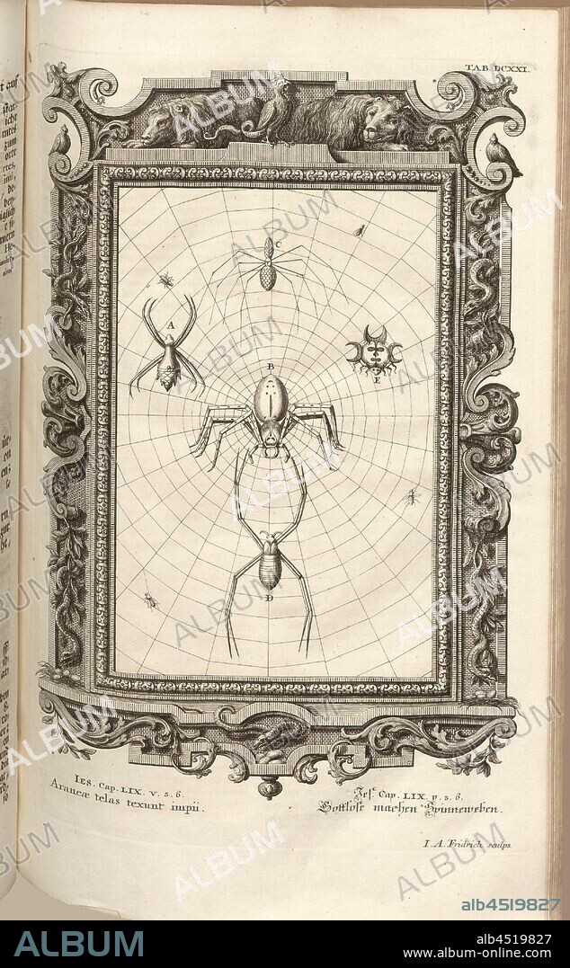 Spiders weave texture ungodly, Parallel Title: Godless Spider Webs, Signed: J.A. Fridrich sculps, copperplate engraving, plate DCXXI, Füssli, Johann Melchior; Fridrich, Jacob Andreas (sculps.), 1731, Johann Jakob Scheuchzer: Kupfer-Bibel (...). Augspurg und Ulm: gedruckt bey Christian Ulrich Wagner, 1731-1735.