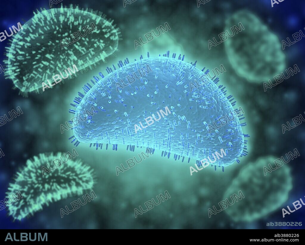 Conceptual image of the influenza causing flu virus. The flu is a respiratory illness caused by infection of the influenza virus which belongs to the Orthomyxoviridae family.