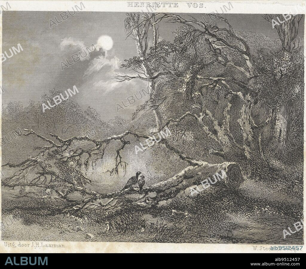 Two birds on a sawn-off branch by moonlight, Two birds on a sawn-off branch, print maker: Willem Steelink (I), (mentioned on object), Henriette Vos, (mentioned on object), publisher: J.H. Laarman, (mentioned on object), Amsterdam, 1872, paper, steel engraving, etching, h 100 mm × w 162 mm.