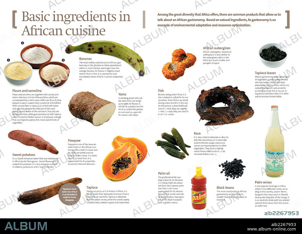 Productos básicos de la cocina africana. Infografía de los principales productos alimentarios que se usan en la cocina africana.