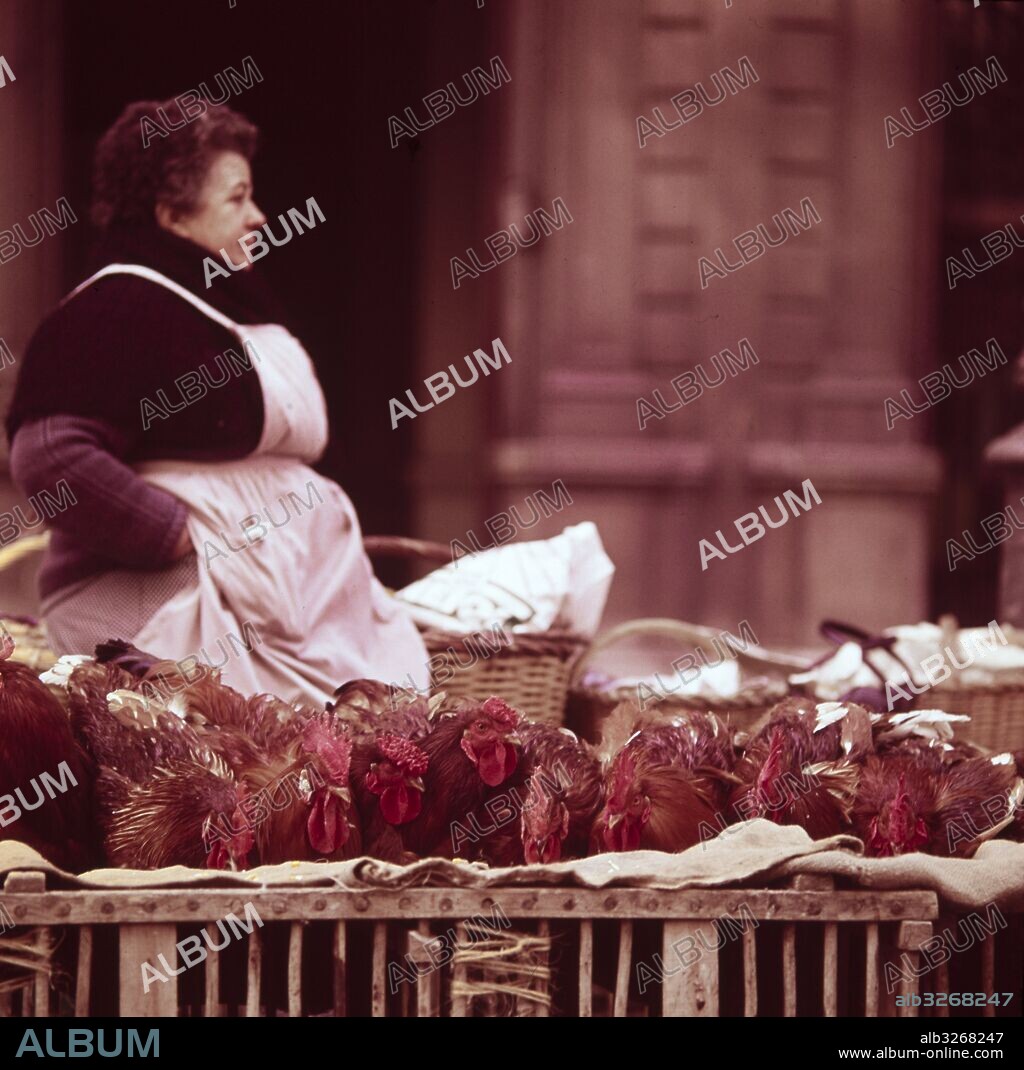 Vendedoras de aves en la feria de Santo Tomás en Barcelona. Años 70.