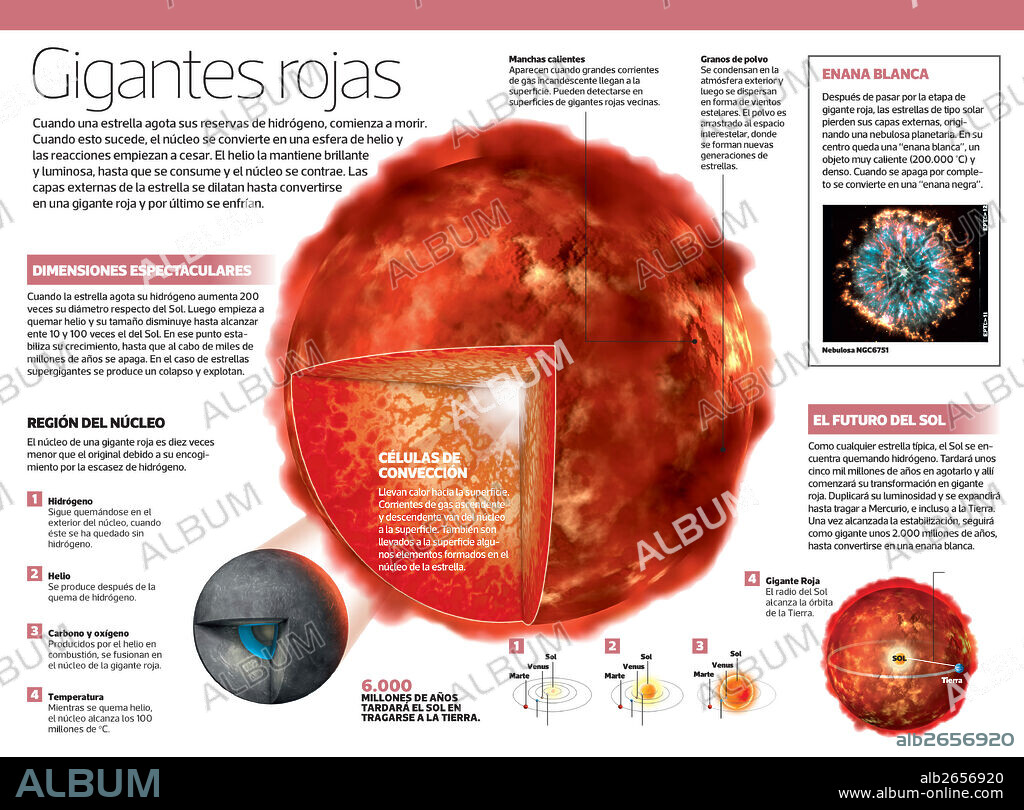gigantes rojas. Infografía de las gigantes rojas, estrellas gigantes de masa baja o intermedia que tras agotar sus reservas de hidrógeno, comienzan a morir.