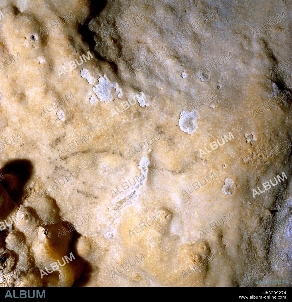 CUEVA DE SANTIMAMIÑE (513). ENTRADA CUEVA, PINTURA: BISONTES, CABALLO, OTROS NO IDENTIFICADOS Y GRABADOS.  VIZCAYA, PAIS VASCO, ESPAÑA.