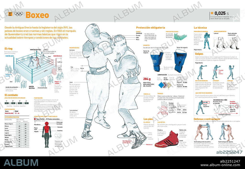 BOXING. Infographics about boxing history, ring, fight techniques and basic rules.
