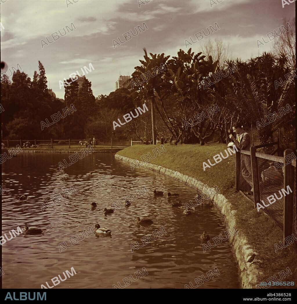 Lantern Slide - Man at Ornamental Lake, Royal Botanic Gardens, Melbourne, circa 1940s, A colour lantern slide featuring a man standing at the Ornamental Lake in Melbourne's Royal Botanic Gardens, circa 1940s.