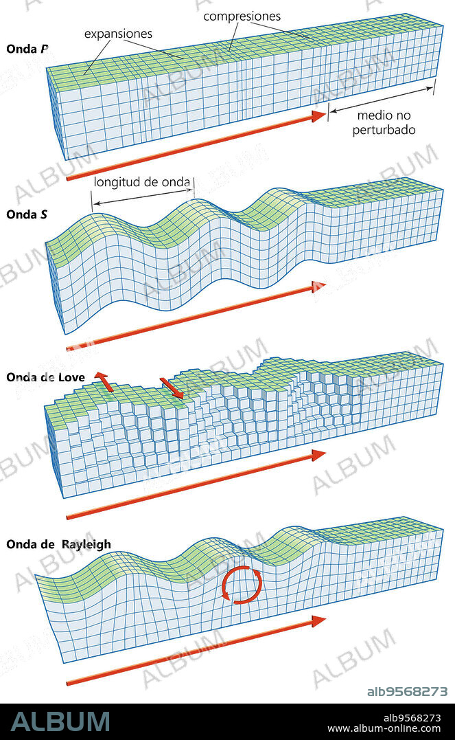 The main types of seismic waves: P, S, Love, and Rayleigh.