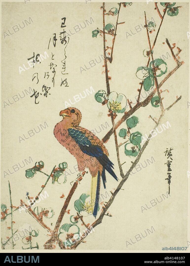 Parrot on plum tree. Utagawa Hiroshige ?? ??; Japanese, 1797-1858. Date: 1830-1839. Dimensions: 21.9 x 16.5 cm (8 3/4 x 6 1/2 in.). Color woodblock print; chuban. Origin: Japan.