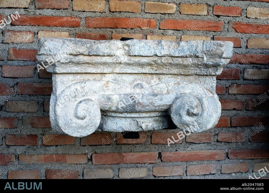 Capitel jonico de la logia renacentista ( Plateresco) " Patio de Armas - PALACIO ARZOBISPAL " perteneciente al ANTIQUARIUM - Muralla de ALCALA DE HENARES ( Siglo XIII ).Comunidad de Madrid . ESPAÑA.