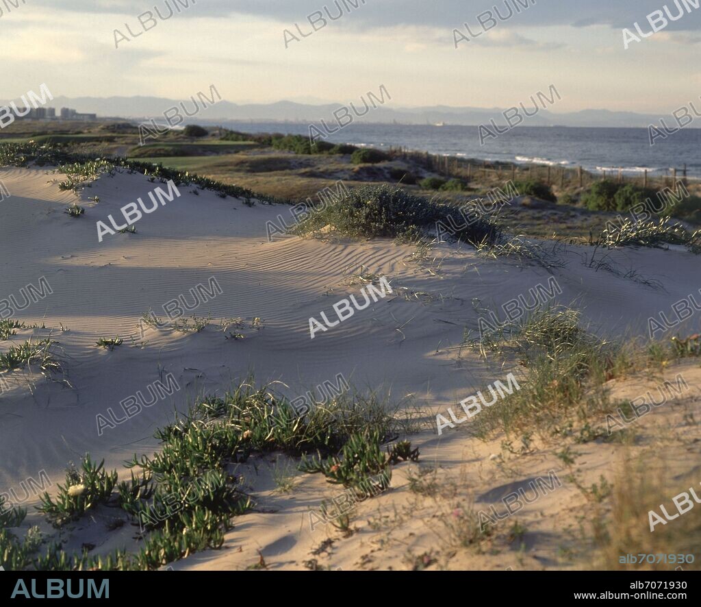 DUNAS.