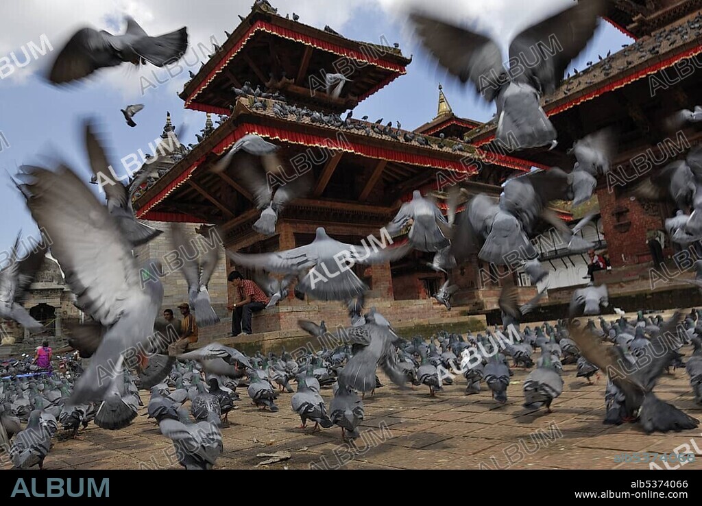 Pigeons on Durbar Square, Kathmandu, Nepal, Asia.