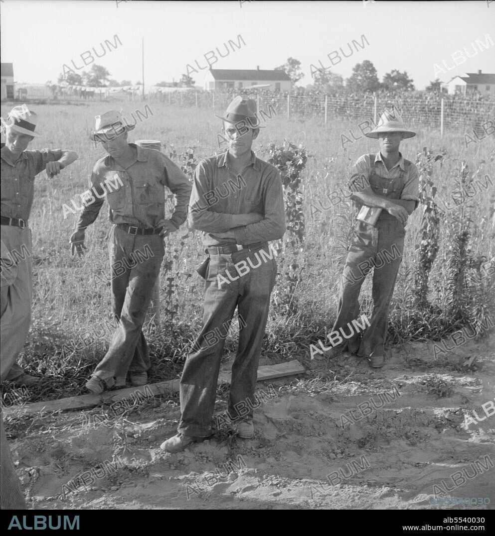 DOROTHEA LANGE. Farm Security Administration (FSA) cooperative farm, Lake Dick, Arkansas. All farmers on this project are young Arkansas farmers selected from all parts of the state.