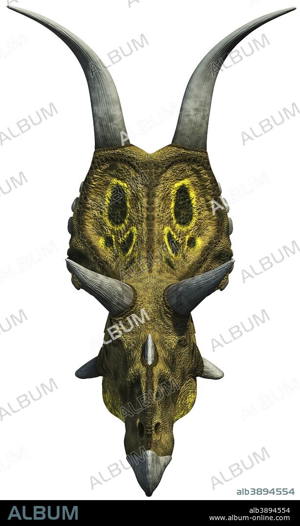 A head-on view of Diabloceratops from the Late Cretaceous period.