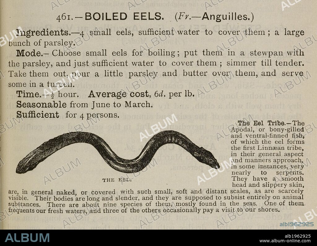 Boiled eels. The book of household management ... Ward, Lock, Bowden & Co.: London, 1892. Source: 7942.dd.9, page 223. Language: English.