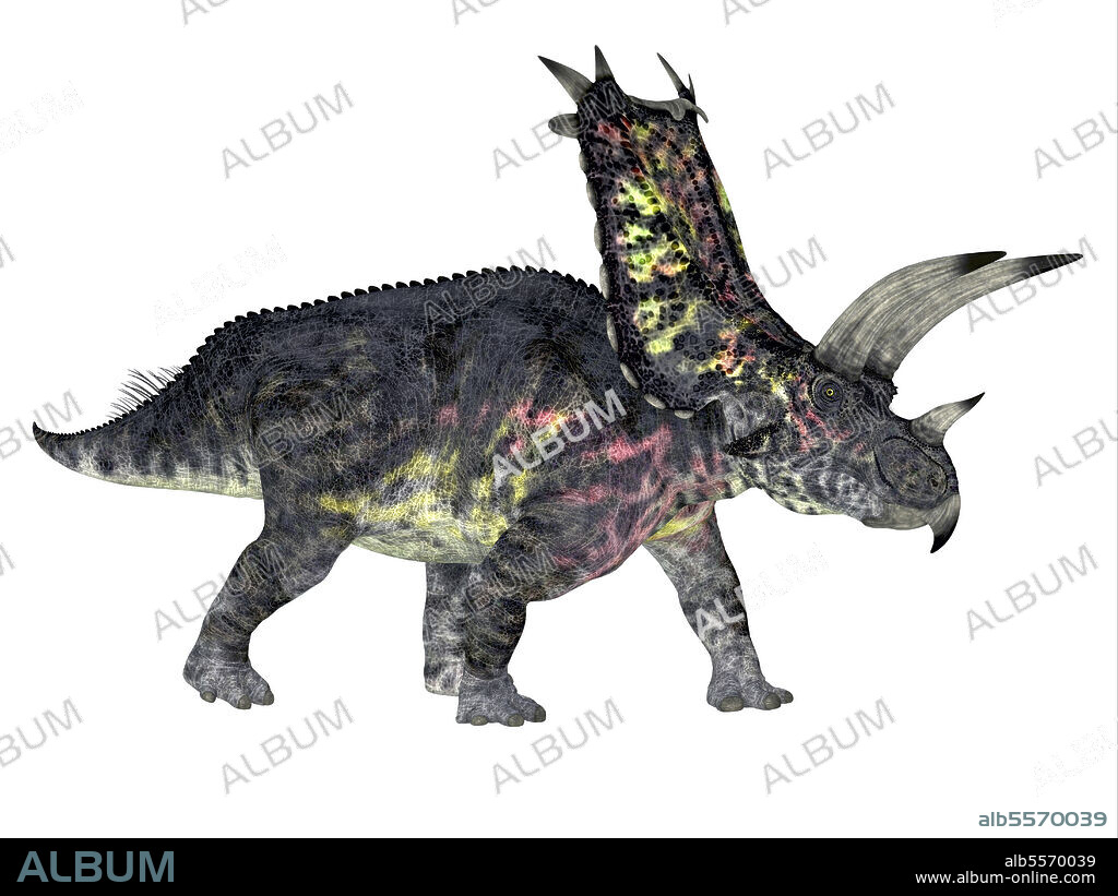 Pentaceratops dinosaur, side profile. Pentaceratops was a herbivorous Ceratopsian dinosaur that lived during the Cretaceous Period of North America.