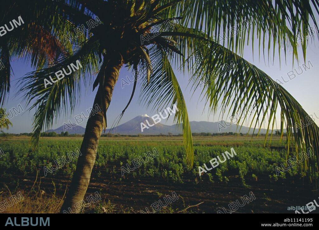 View north across fields at Chichigalpa to Volcan San Cristobal at the northwest end of Nicaragua's chain of volcanoes, Nicaragua, Central America.
