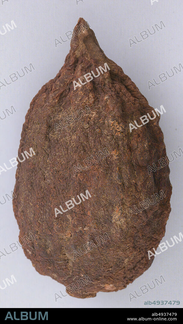 Petrified Lemon, Petrified lemon, 3rd12th century, Found Egypt, Thebes, Lemon, H. 3 3/8 in. (8.5 cm), W. 1 15/16 in. (4.9 cm), D. 1 3/4 in. (4.4 cm), Wt. 1.17 oz. (33.2 g), Miscellaneous.