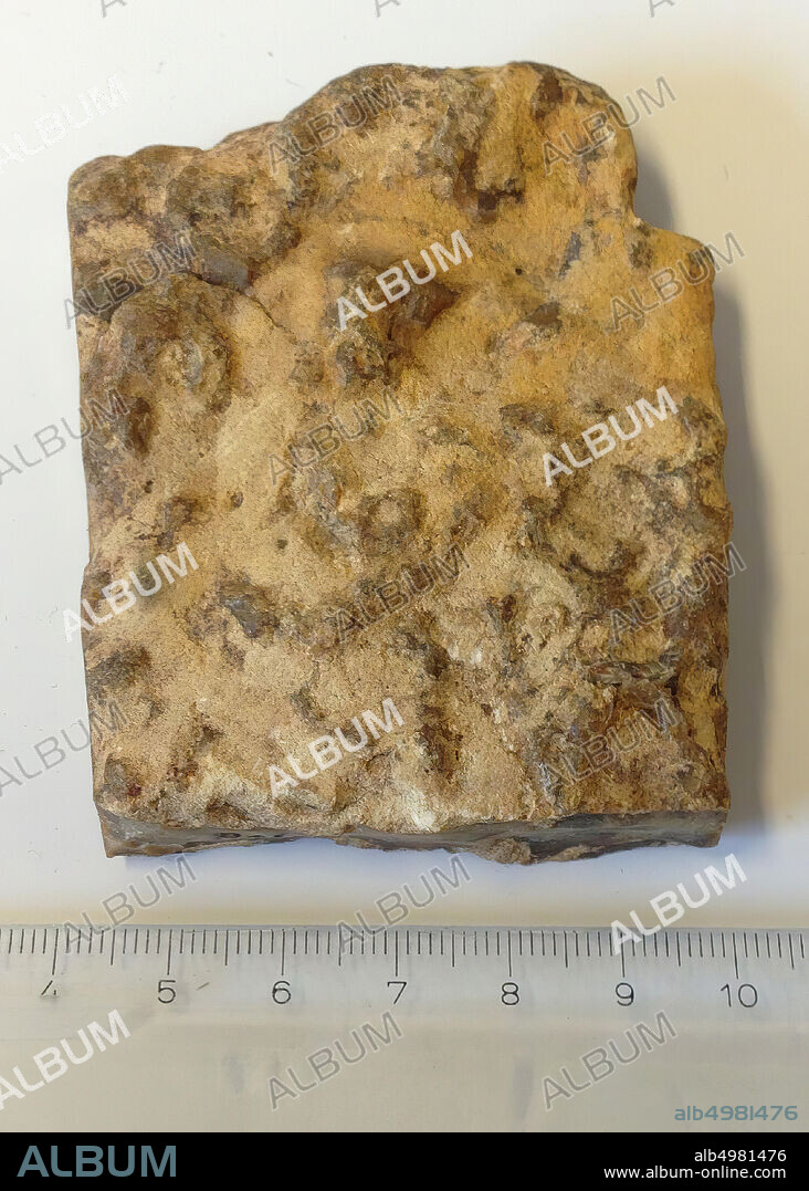 Plate flint with cortex, plate-shaped flint eastern-Limburg, 168g on the side in ink Rolduc., plate flint, stone, flint, 7,6 x 6,3 x 2,2 cm, Netherlands, Limburg , Kerkrade, Rolduc.
