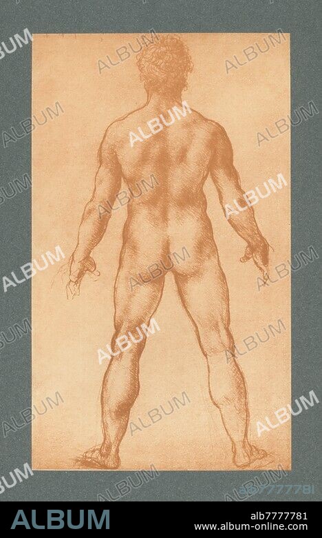 Leonardo da Vinci, 1452-1519. "Nude standing man seen from behind". Facsimile of the original "Study of a Standing Male Nude seen from behind", c. 1504/06 (red chalk, 270 × 16 mm. Windsor Castle, Royal Library, RL 12596 r, RCIN 91596). Reproduction (carbon print) after photography of Photographische Kunstanstalt Adolphe Braun (Adolphe Braun, 1812-1877, in collaboration with Charles Braun, 1815-1872, Henri Braun, 1837-1876, and Gaston Braun, 1845-1928). From the portfolio: Drawings by Leonardo da Vinci. Reproduced and published by Braun and Cie., Paris, Dornach (Alsace), London and New York, part II, 60 hand drawings on 40 plates, no. 29. Private collection.