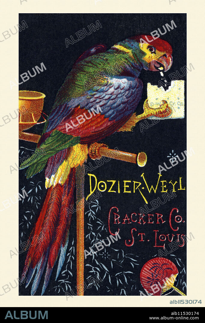 UNKNOWN. Victorian trade card for Dozier Weyl Crackers.  A colorful scarlet macaw eats a cracker.