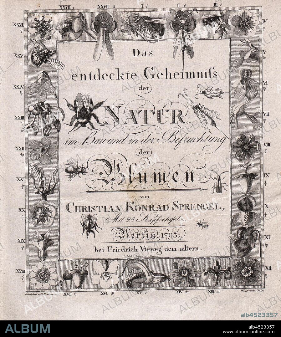 Title page from Christian Konrad Sprengels 'The discovered secret of nature in the construction and in the fertilization of the flowers', signed: Drawn v. Chr., C.K., Sprengel, W. Arndt Sculp, Fig. 1, before p. 1, Sprengel, Christian Konrad (gez.); Arndt, W. (sculp.), 1793, Christian Konrad Sprengel: Das entdeckte Geheimniss der Natur im Bau und in der Befruchtung der Blumen. Berlin: bei Friedrich Vieweg dem aeltern, 1793.