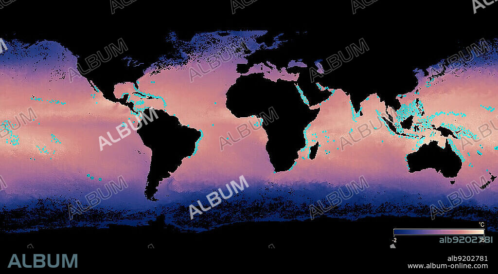 Map showing the approximate locations of major coral reefs (blue). Also shown are sea surface temperatures from December 2017, with blue being the coldest and pink and yellow the hottest. From 2014 to 2017, rising sea temperatures have caused the worst coral bleaching on record, with over 70 percent of reefs experiencing damage. When corals are stressed by changes in conditions such as temperature, light, or nutrients, they expel the symbiotic algae living in their tissues, causing them to turn completely white.