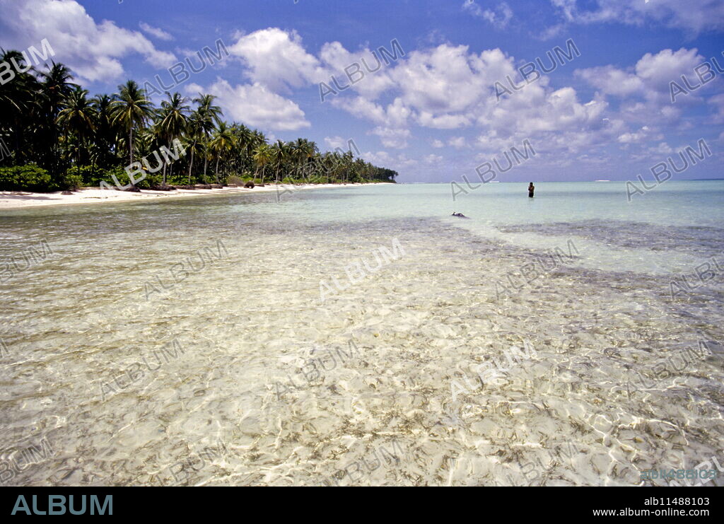 Clear water off Bangaram Island, Lakshadweep Islands, India, Indian Ocean, Asia.