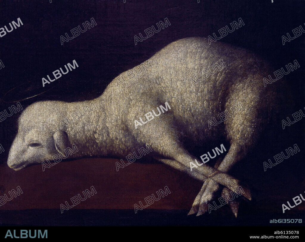 FRANCISCO DE ZURBARAN. AGNUS DEI - 1636/1640 - O/L 35x52 - BARROCO ESPAÑOL.