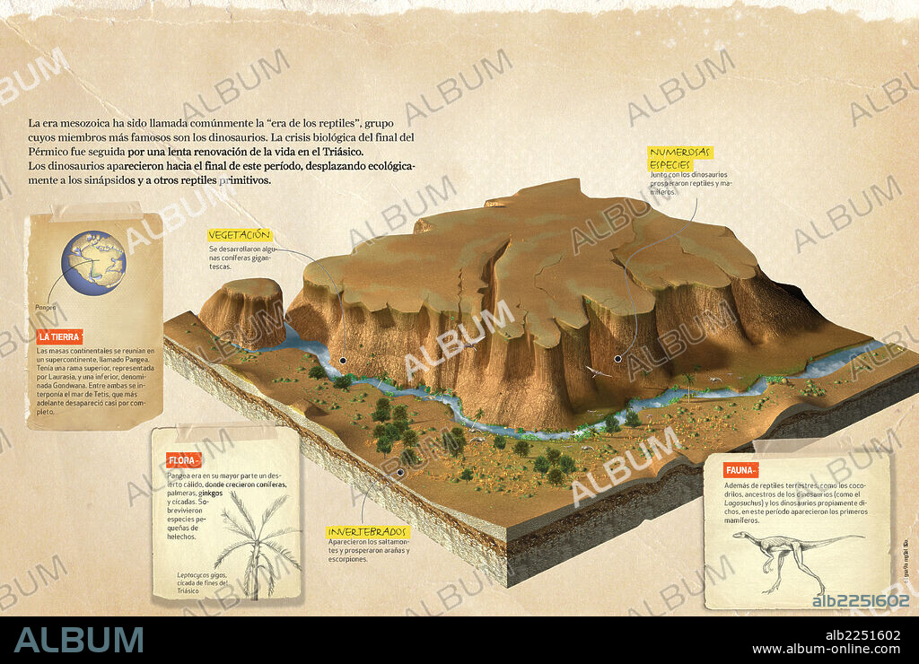 período Triásico. Infografía sobre el período Triásico, perteneciente al Mesozoico, en el cual aparecieron los dinosaurios, los mamíferos y algunos invertebrados.