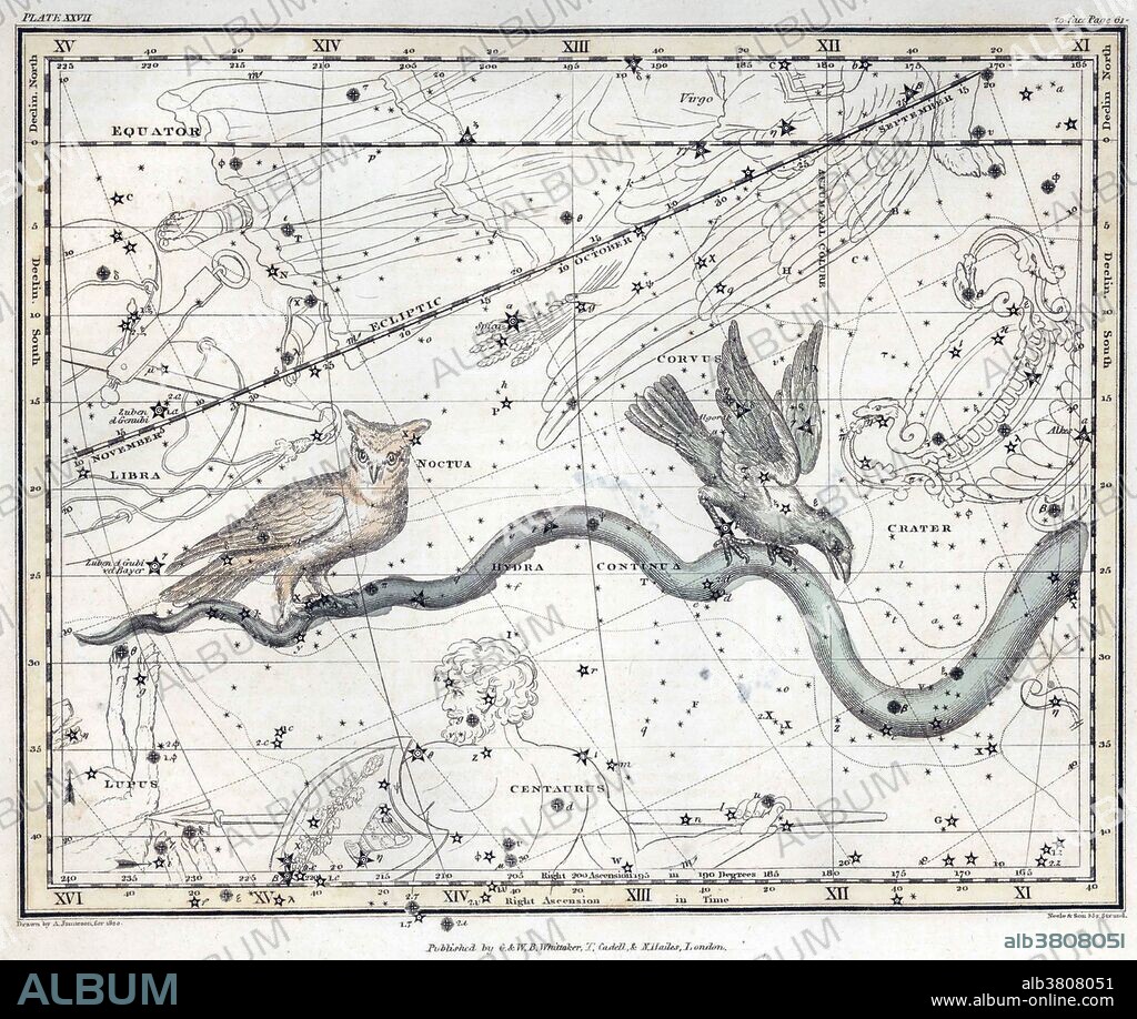 Corvus is a small constellation in the southern sky. Its name is Latin for raven or crow. It includes only 11 stars visible to the naked eye. It was one of the 48 constellations listed by Ptolemy, who only counted 7 stars, and it remains one of the 88 modern constellations. Noctua, Latin for little owl, was a seldom mentioned constellation that was once placed between the end of the tail of Hydra, the sea-serpent and Libra. The origins of the constellation are unknown, It is now obsolete. Both are depicted as resting on the tail of Hydra. Hydra is the largest of the 88 modern constellations, measuring 1303 square degrees. Also one of the longest at over 100 degrees. A Celestial Atlas (1822) by Alexander Jamieson, inspired by the star atlas of Johann Elert Bode, but restricted itself to stars that could be seen with the naked eye. Comprising a systematic display of the heavens in a series of thirty maps illustrated by scientific description of their contents and accompanied by catalogues of the stars and astronomical exercises, plate 27, 1822.