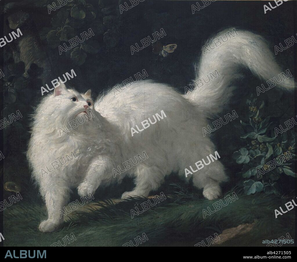 JEAN-JACQUES BACHELIER. Angora cat chasing a butterfly.
