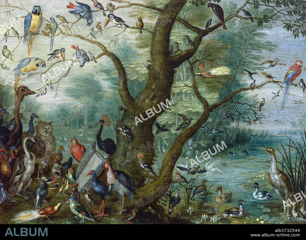 CIRCLE OF JAN VAN KESSEL. Concert of Birds. Dated: 1660/1670. Dimensions: overall: 13 x 18 cm (5 1/8 x 7 1/16 in.). Medium: oil on copper.