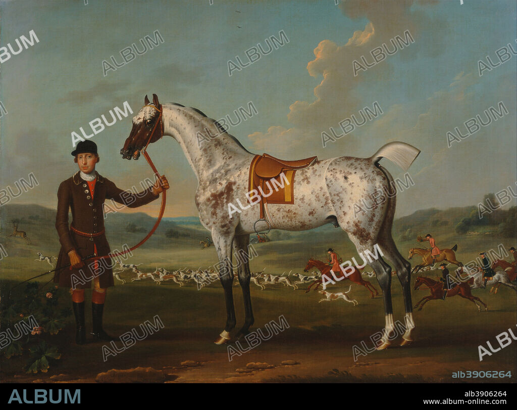 THOMAS SPENCER. Scipio, a spotted hunter, the property of Colonel Roche. Date/Period: Ca. 1750. Painting. Oil on canvas. Height: 991 mm (39.01 in); Width: 1,340 mm (52.75 in).