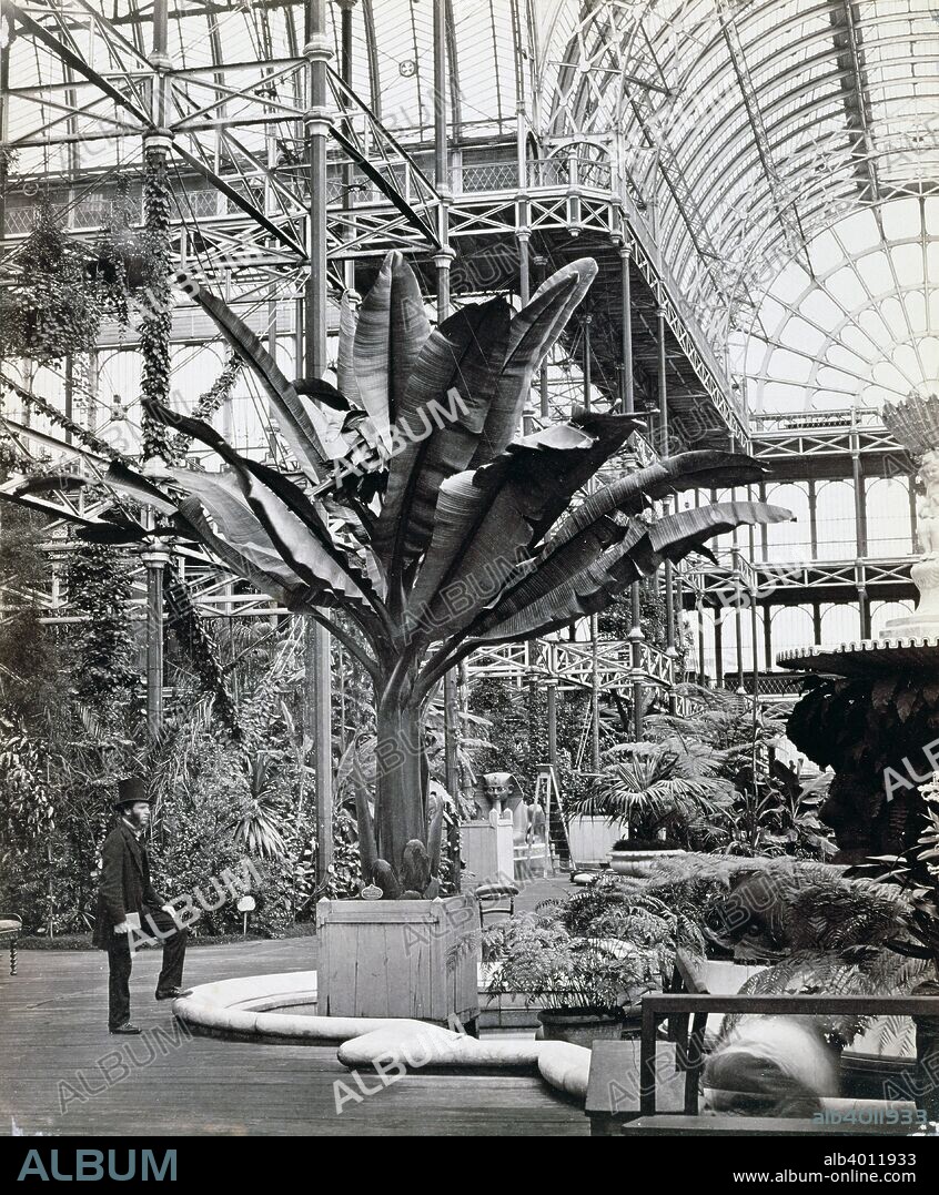 Tropical plants in the Egyptian Room, Crystal Palace, Sydenham, London, 1854. Designed by Joseph Paxton, the Crystal Palace was a prefabricated cast iron and glass building erected in Hyde Park to house the Great Exhibition of 1851. After the exhibition closed, the structure was moved to Sydenham, where it continued to attract many visitors until it was destroyed by a fire in 1936.