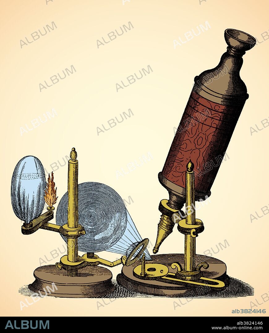 The hand-crafted, leather and gold-tooled microscope Robert Hooke used to make the observations for Micrographia (1665), was originally constructed by Christopher White in London. The microscope shared several common features with telescopes of the period: an eyecup to maintain the correct distance between the eye and eyepiece, separate draw tubes for focusing, and a ball and socket joint for inclining the body. The microscope body tube was constructed of wood and/or pasteboard and covered with fine leather. When the draw tubes were fully closed the microscope measured six inches long. Hooke used a bi-convex objective lens placed in the snout and two additional lenses, an eyepiece lens and a field lens. To combat dark specimen images, Hooke designed a method of concentrating light on his specimens. He passed light generated from an oil lamp through a water-filled glass flask to diffuse the light and provide a more even and intense illumination for the samples. This image has been color enhanced.