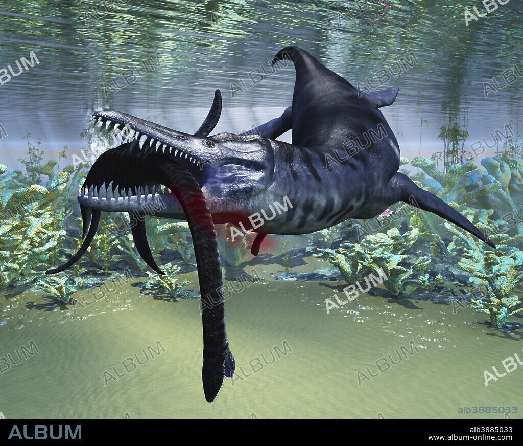 A hapless Plesiosaurus becomes a meal for the much larger Liopleurodon aquatic reptile.