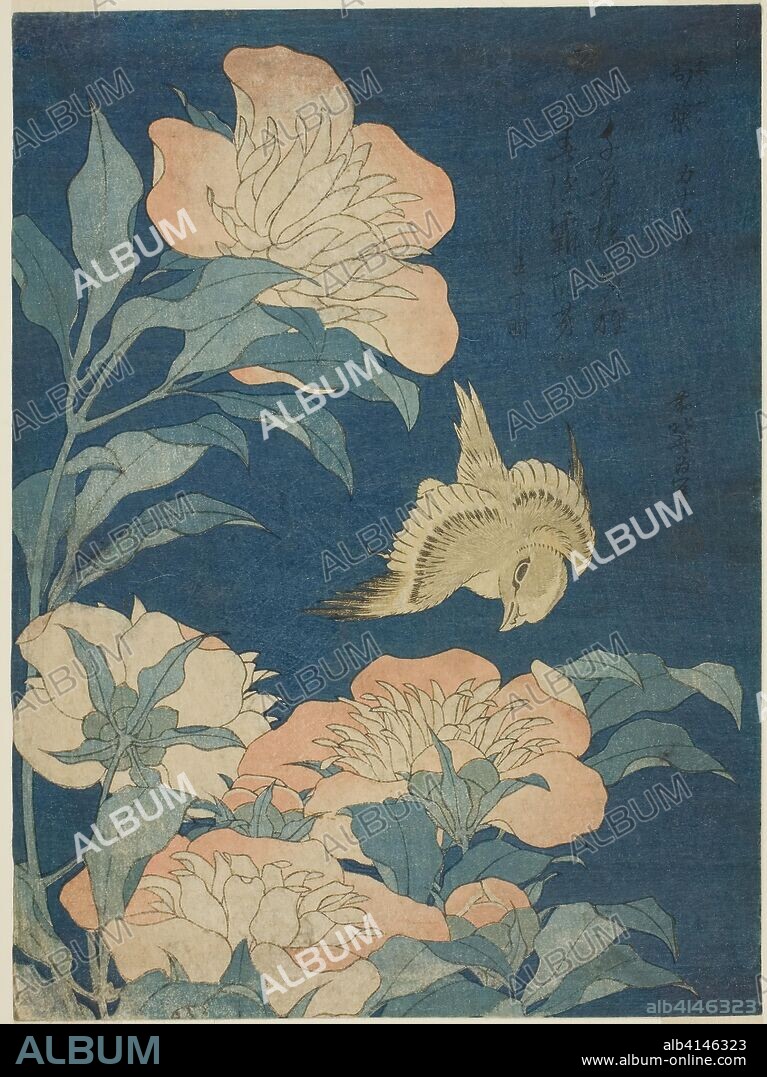 Canary and Peony (Kanaari, shakuyaku), from an untitled series of flowers and birds. Katsushika Hokusai ?? ??; Japanese, 1760-1849. Date: 1829-1839. Dimensions: 10 x 7 1/2 in. Color woodblock print; chuban. Origin: Japan.