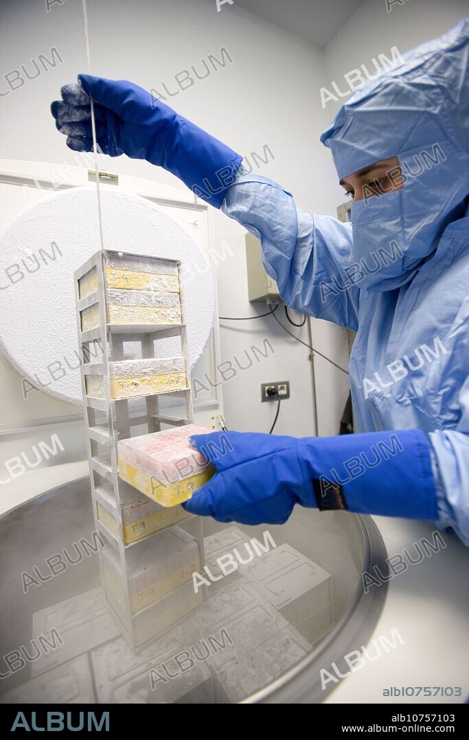 Cryonics, cryopreservation of samples in nitrogen, biopharmaceutical lab, development and production of innovative drugs using adult stem cells, Cellerix, Grupo Genetrix, Madrid.