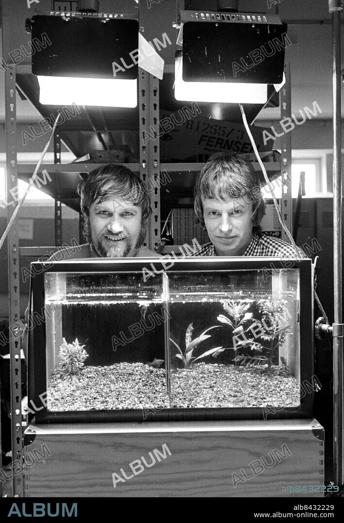 LULEÅ 1971-06.. Sven Lindholm, producent, och Roland Sjögren vid ett akvarium.. Foto: Bertil S-son Åberg / RiR / SVT / Kod: 5600. Bild och notis publ. i RiR 27/71 sid. 39 inför TV-programmet I akvariets värld, sänt första gången 1971-06-29.. RiR 20166 sv/v neg.