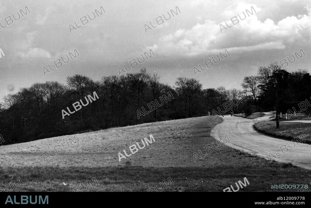 Hertfordshire Lane Hadley Wood.