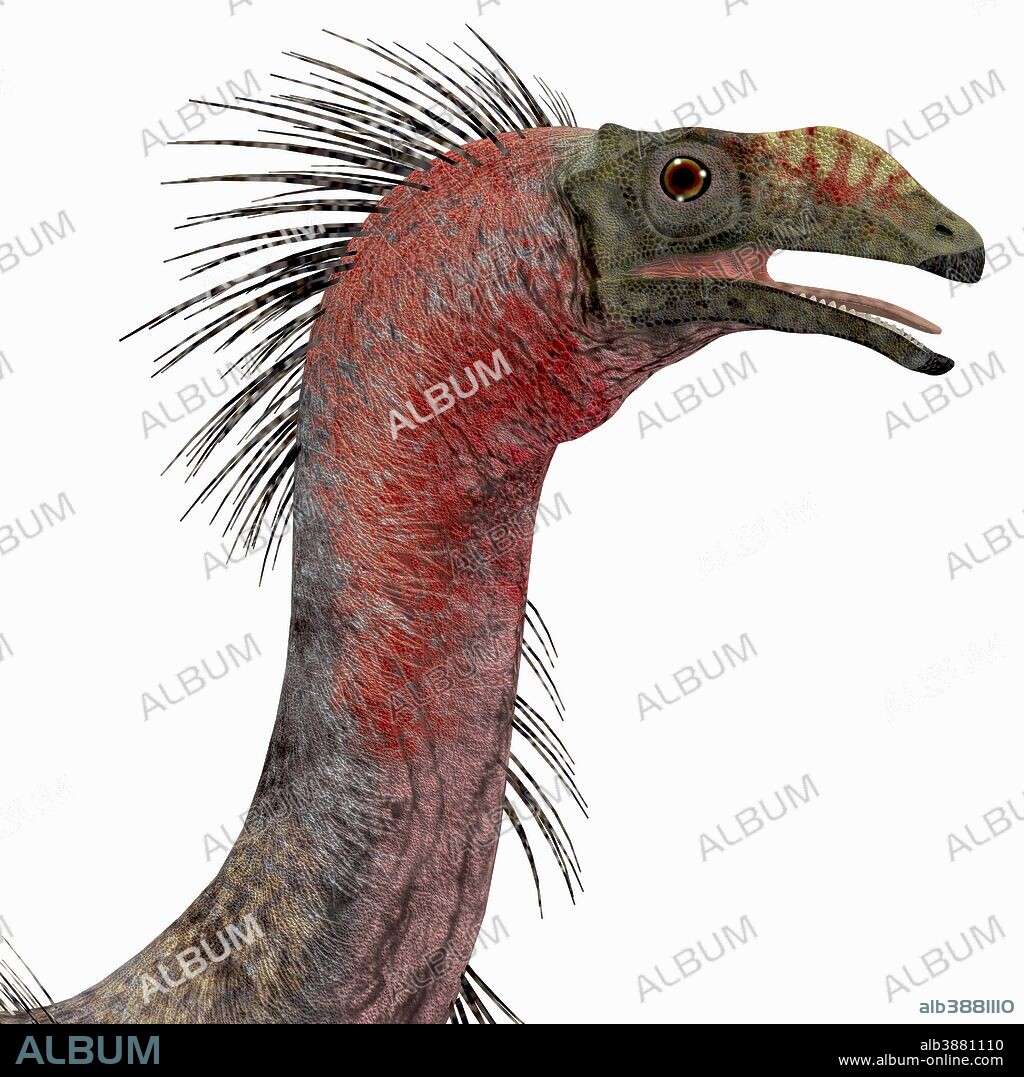 Therizinosaurus dinosaur head. Therizinosaurus was a carnivorous theropod dinosaur that lived in the Cretaceous Period of Mongolia.